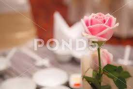 Pink Rose Decoration On Banquet Table