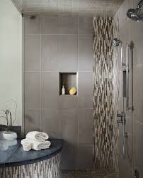 40 Free Shower Tile Ideas Tips For