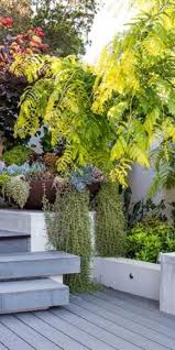 Cultivart Landscape Design Perth The