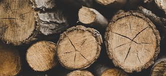 Best Firewood For Your Fireplace