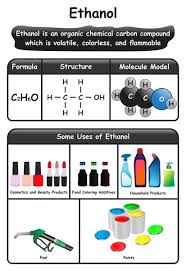 Image Vectorielle Schéma Infographique