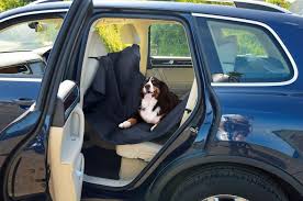 The Best Dog Car Accessories Halfords