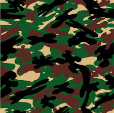 Seamless Vector Camouflage Indonesia