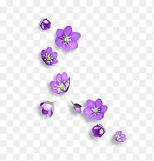 Flower Icon Png Images Pngegg