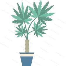Decorative Palm Tree In Pot Vector Icon