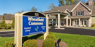 Wheatfield Commons Depaul