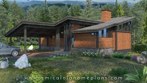 Amicalola Home Plans Mountain Modern