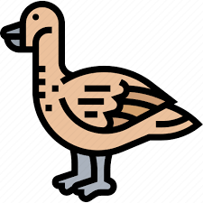 Bird Goose Nene Hawaii Animal Icon
