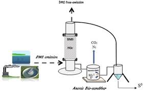 Dimethyl Sulphide Via A Bio Scrubber