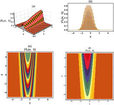 Numerical Simulation For Equation 18