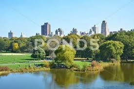 Photograph Turtle Pond In Central Park