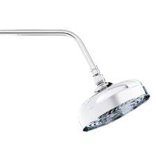Classic Medium Shower Rose 8