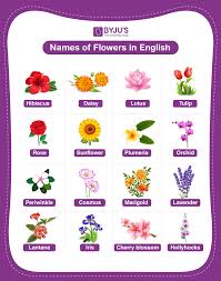 Names Of Flowers Explore The Various