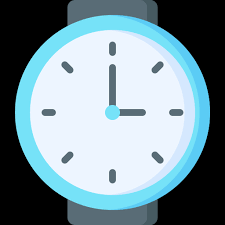 Wristwatch Special Flat Icon