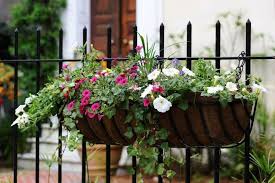 Wrought Iron Hanging Planter Basket And