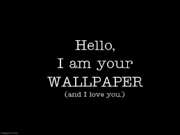 Funny Wallpapers Funny Wallpaper
