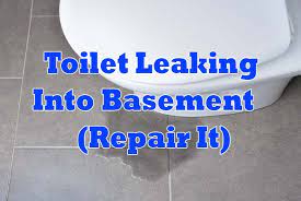Toilet Leaking Into Basement Repair