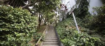 Take A Walk San Francisco S Stairs