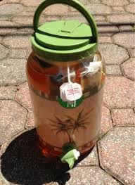 Iced Sun Tea Recipe Julie S Creative