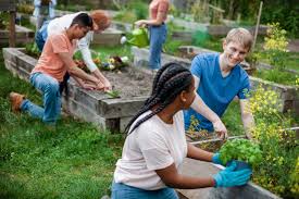 Public Health Benefits Of Community