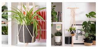 The Best Plants For Macramé Hangers