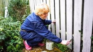 Woman Painting Garden Fence In