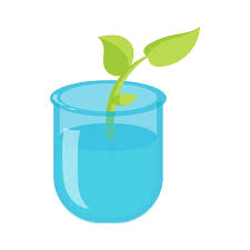 Green Sprout In A Glass With Water Icon