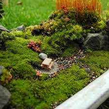 Moss Garden Mini Garden Miniature Garden