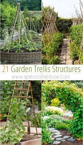 Easy Diy Garden Trellis Ideas Plant