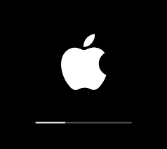 Black And White Apple Logo Icon