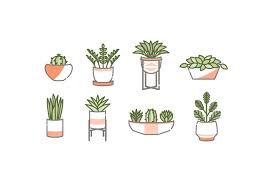 Houseplant Icon Set House Plants