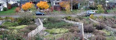 How And Why To Build A Rain Garden