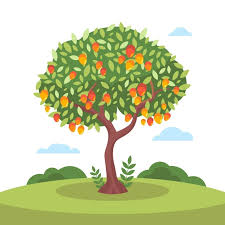 Fruit Tree Images Free On