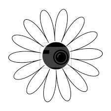 Daisy Chamomile Shape Cute Flower
