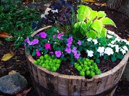8 My Herbie Garden Ideas Garden