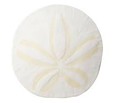 Oversized Sand Dollar Wall Decor