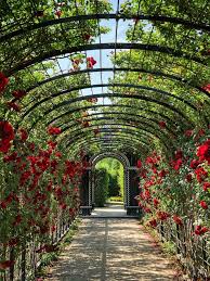 Top 10 Garden Canopy Ideas Primrose