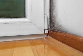 Mold Remediation Services In New