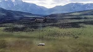 into the wild bus removed from alaskan