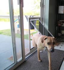 Dog Doors Cat Doors Pet Doors