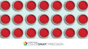 Colorsnap Precision For Homeowners