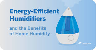 Best Energy Efficient Humidifiers For