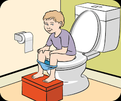 Toilet Training Ilrated Guide