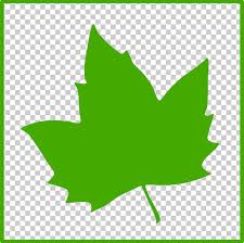 Leaf Favicon Icon Png Clipart