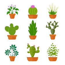 Premium Vector Decorative Cactuses