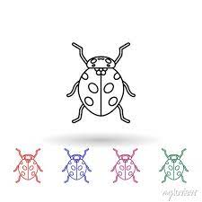Ladybug Multi Color Icon Simple Thin