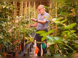 Climate Defying Fruits And Vegetables