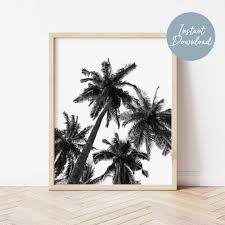 Beach Photography Palm Tree Wall Art