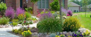 Perennial Plant Combinations That Work