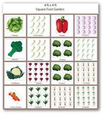 Basic Vegetable Garden Design Plans And